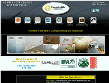 Tablet Screenshot of cousticglo.co.za